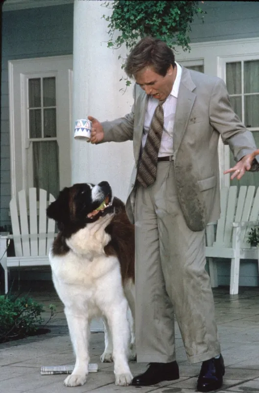 Beethoven 2 (Beethoven’s 2nd), 1993 - fotogaléria