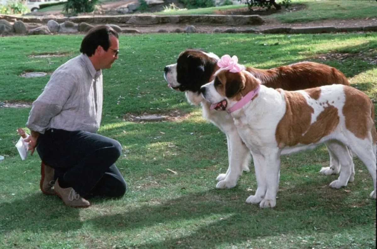 Beethoven 2 (Beethoven’s 2nd), 1993 - fotogaléria