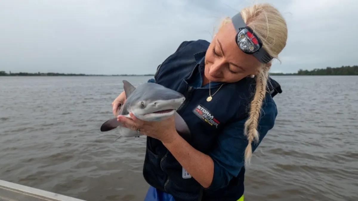 Žraločí batolata (Baby Sharks), 2022 - fotogaléria