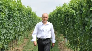 Okno do hřbitova