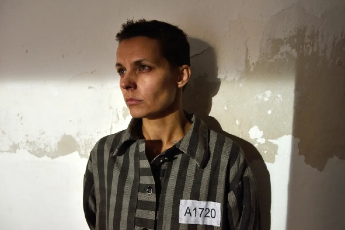 Bohéma, 2016 - fotogaléria
