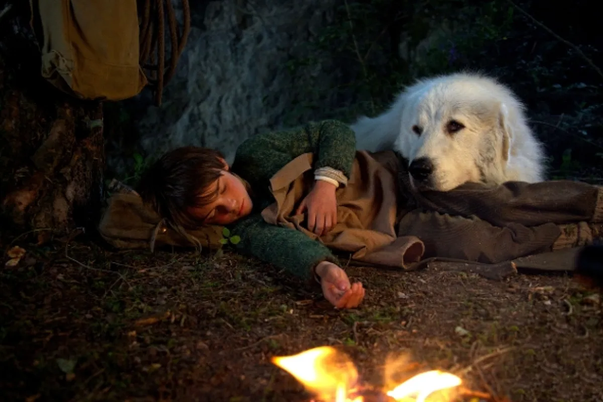 Bella a Sebastián 2 (Belle et Sébastien, l’aventure continue), 2015 - fotogaléria