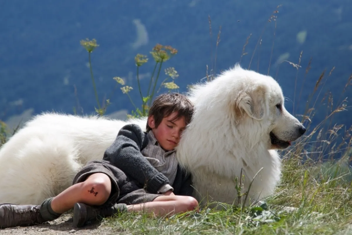 Bella a Sebastián 2 (Belle et Sébastien, l’aventure continue), 2015 - fotogaléria