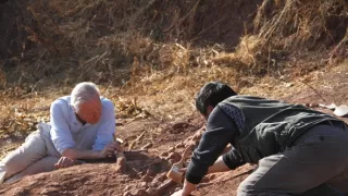 Veľká životná cesta Davida Attenborougha