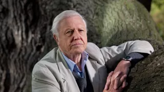 Veľká životná cesta Davida Attenborougha