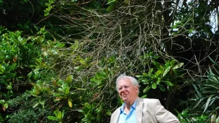 Veľká životná cesta Davida Attenborougha