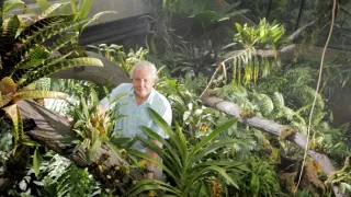 Veľká životná cesta Davida Attenborougha