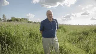 Veľká životná cesta Davida Attenborougha