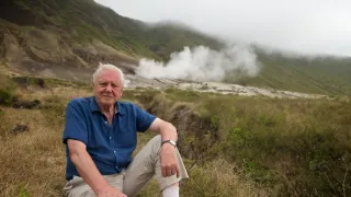 Veľká životná cesta Davida Attenborougha