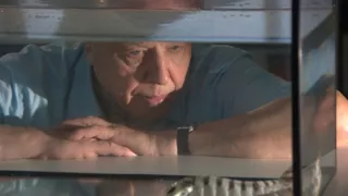 Veľká životná cesta Davida Attenborougha