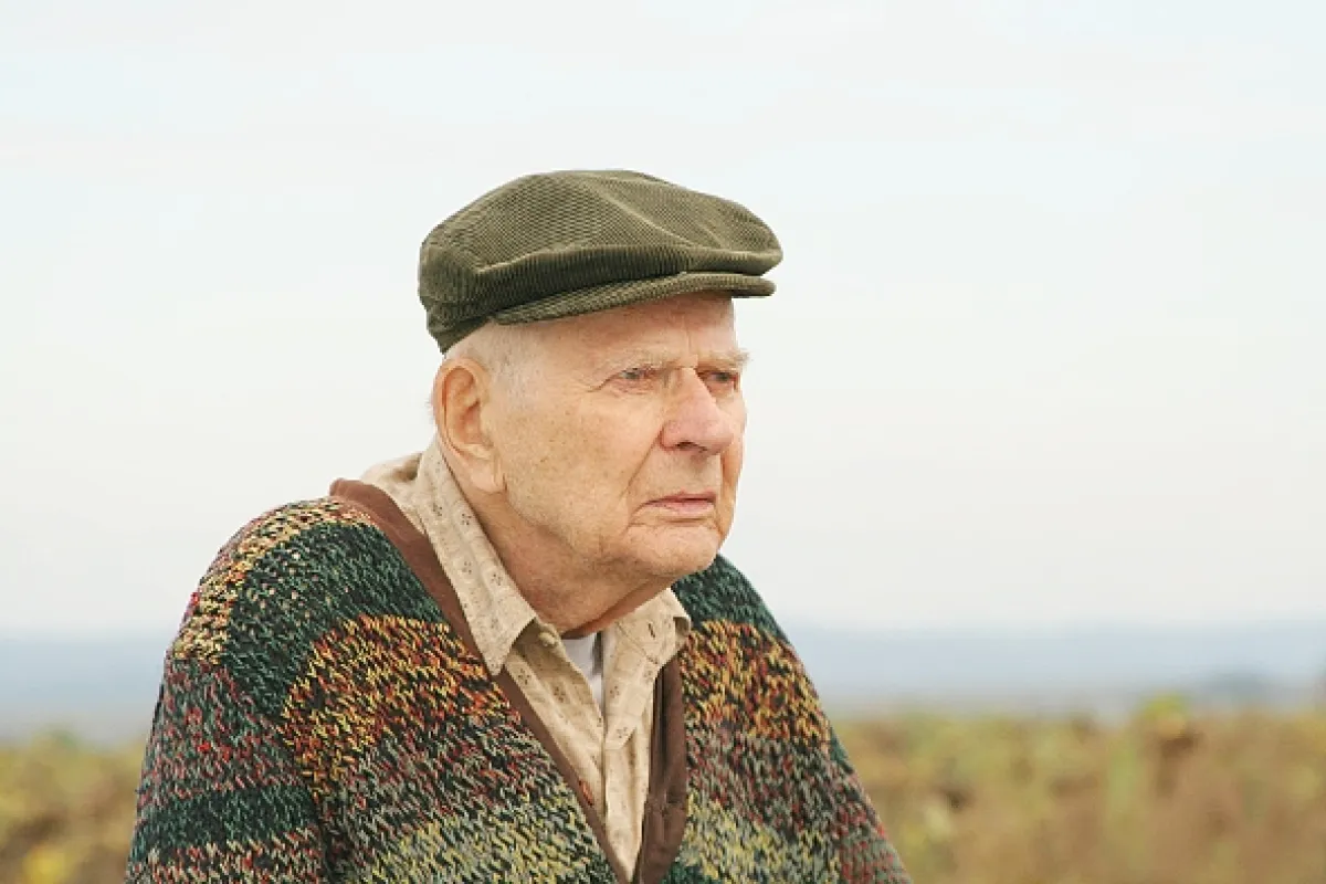 Bobule (BOBULE), 2008 - fotogaléria