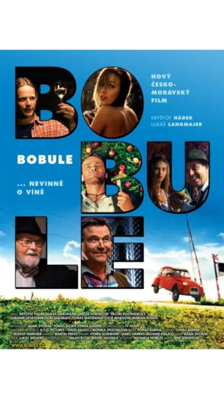 Bobule (BOBULE), 2008 - fotogaléria