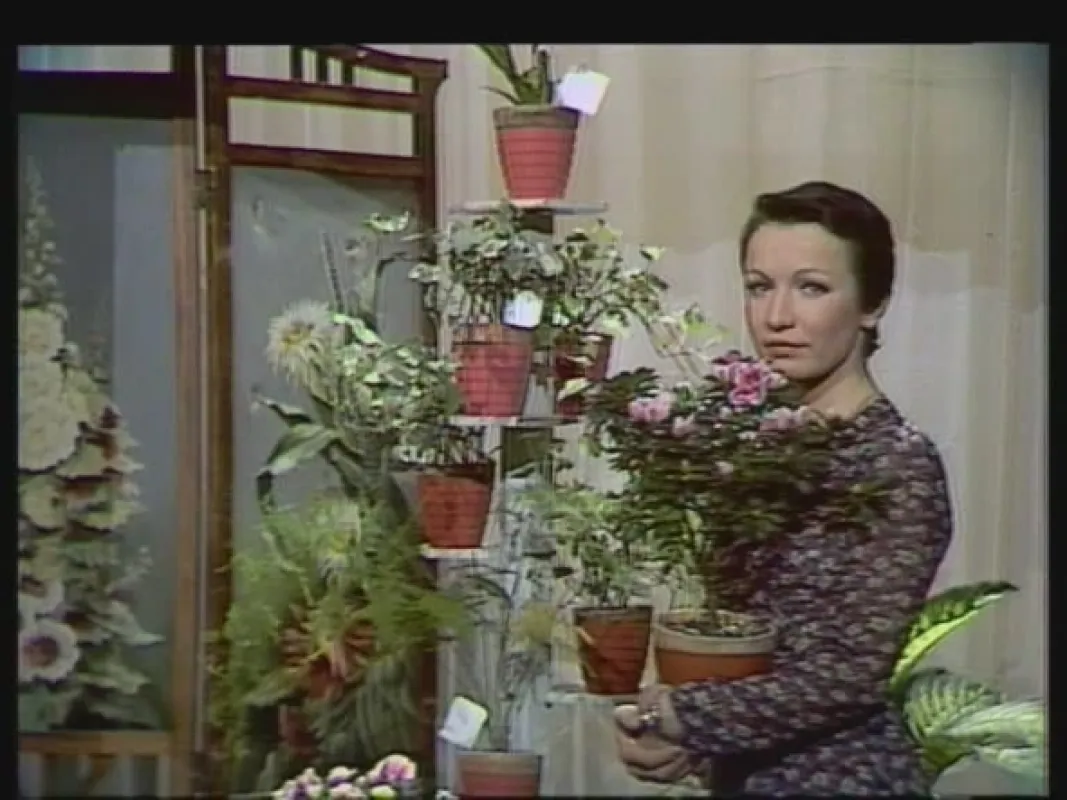 Co neodnesl čas, 1980 - fotogaléria