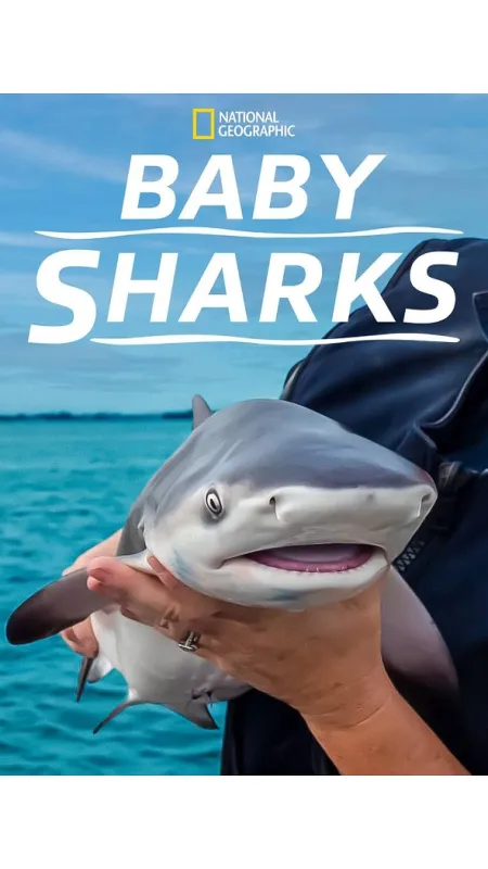 Žraločí batolata (Baby Sharks), 2022 - fotogaléria