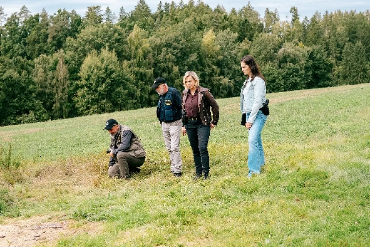 Odznak Vysočina, 2026 - fotogaléria