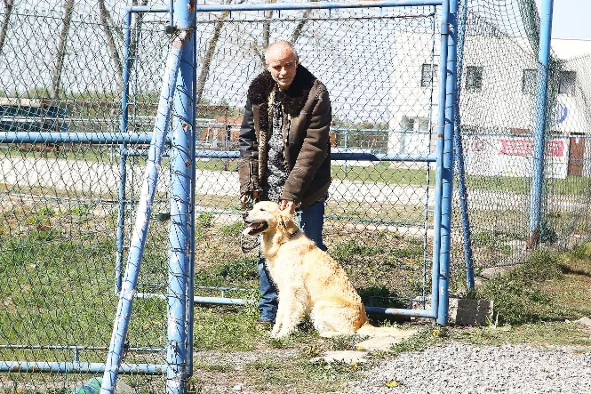 Temný Kraj, 2019 - fotogaléria