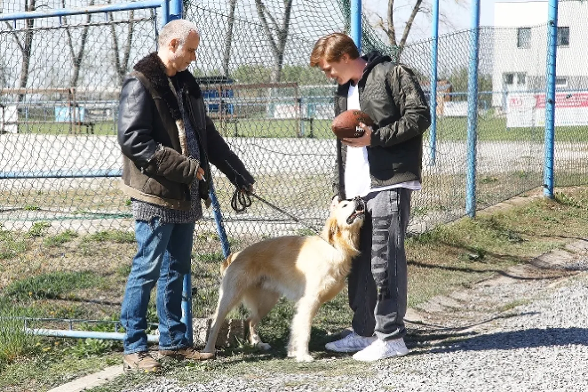 Temný Kraj, 2019 - fotogaléria