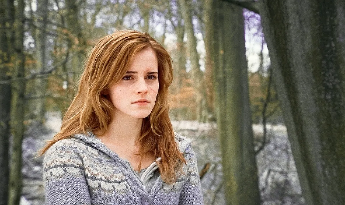 Harry Potter a Relikvie smrti - část 1 (Harry Potter and the Deathly Hallows: Part 1), 2010 - fotogaléria