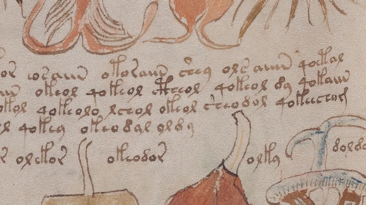 České tajemno, 2020 - fotogaléria