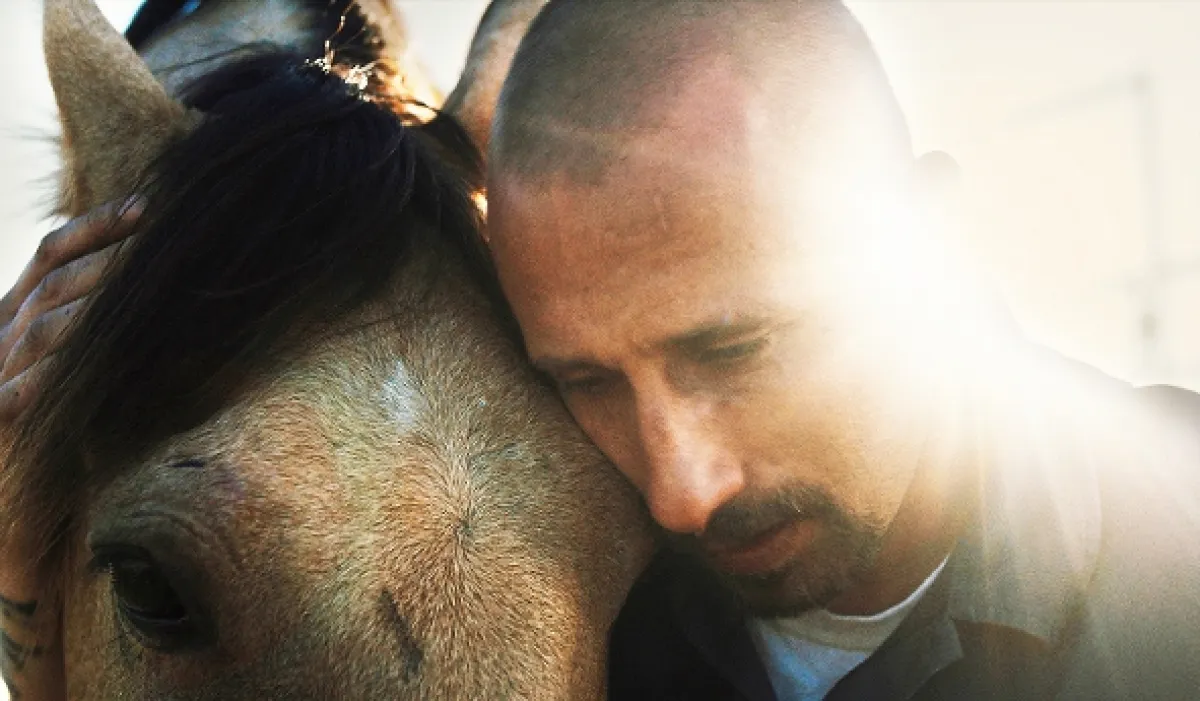 Mustang (The Mustang), 2019 - fotogaléria