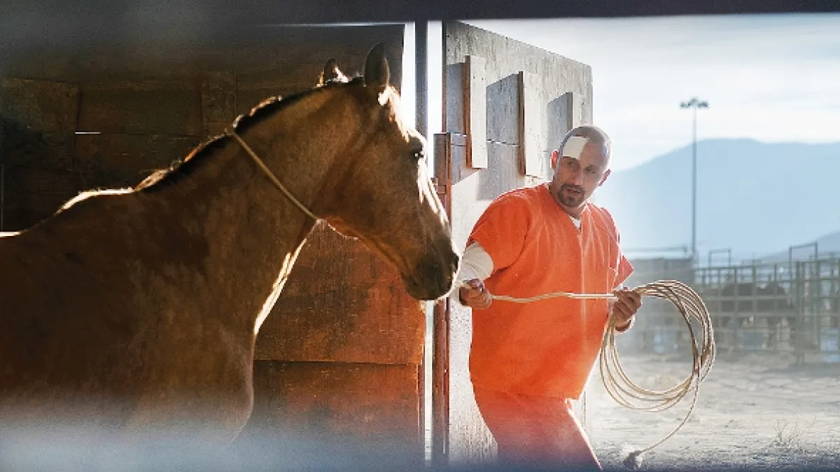 Mustang (The Mustang), 2019 - fotogaléria