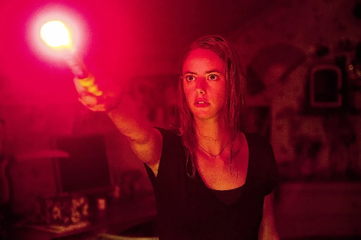 Korisť (Crawl), 2019 - fotogaléria
