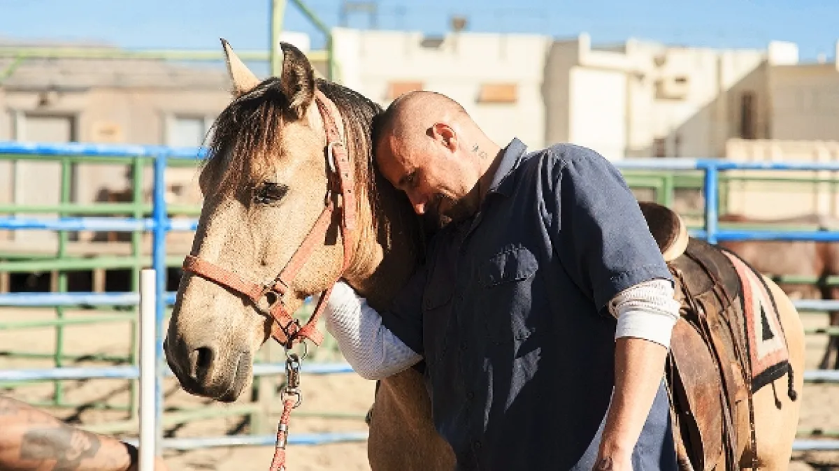 Mustang (The Mustang), 2019 - fotogaléria