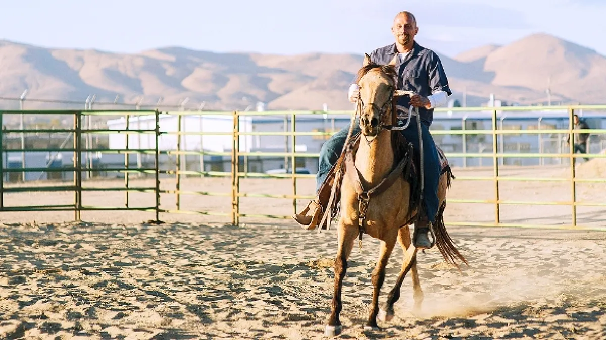Mustang (The Mustang), 2019 - fotogaléria