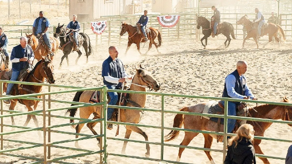 Mustang (The Mustang), 2019 - fotogaléria
