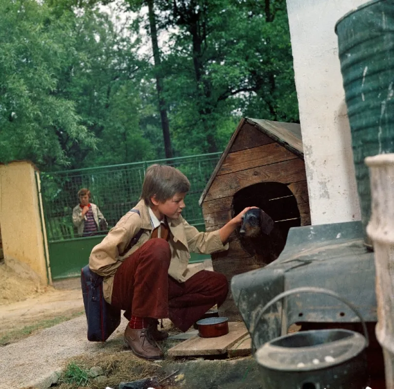 Tajemství proutěného košíku, 1977 - fotogaléria