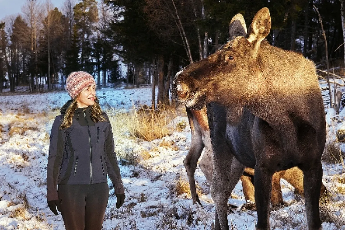 Štvanice: Polární past (Zielfahnder: Polarjagd), 2024 - fotogaléria