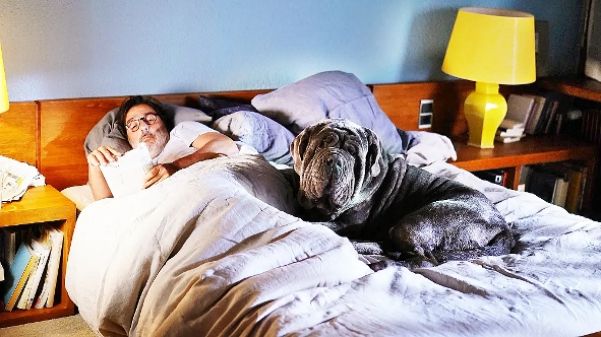 Môj pes hlupák (My Dog Stupid), 2019 - fotogaléria