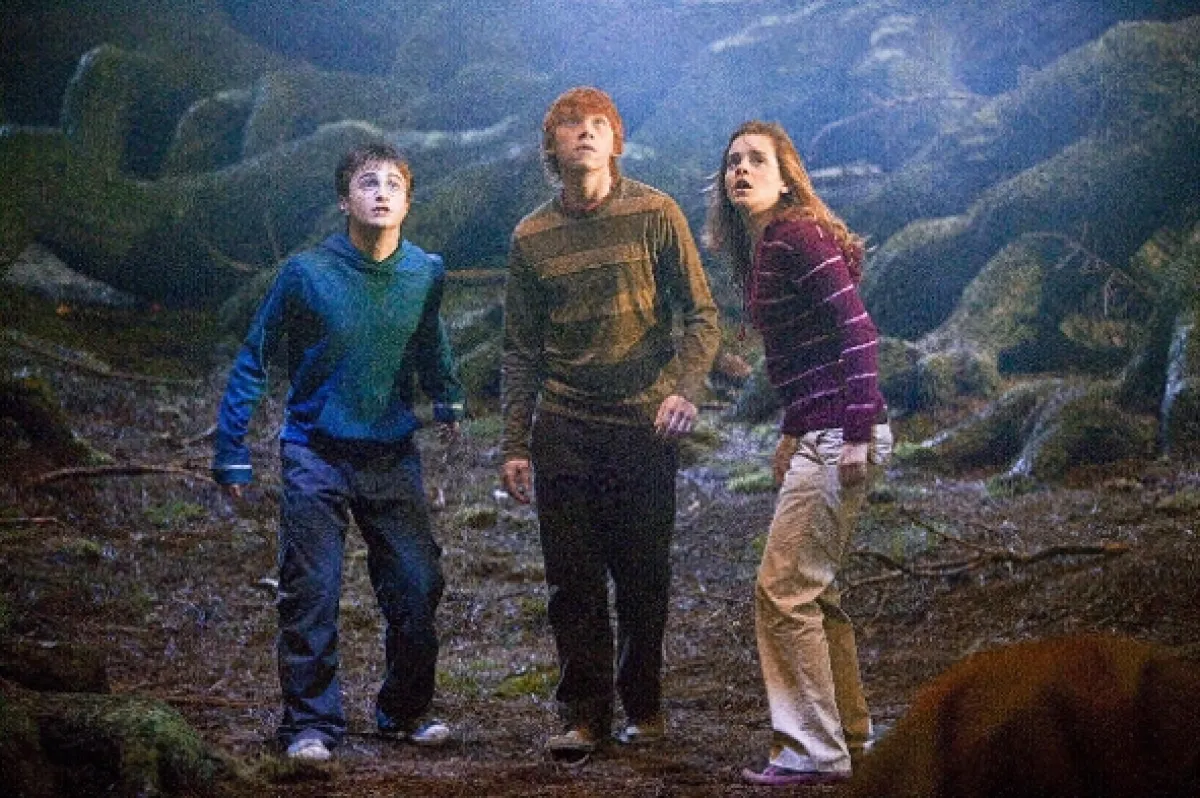 Harry Potter a Fénixův řád (Harry Potter and the Order of the Phoenix), 2007 - fotogaléria