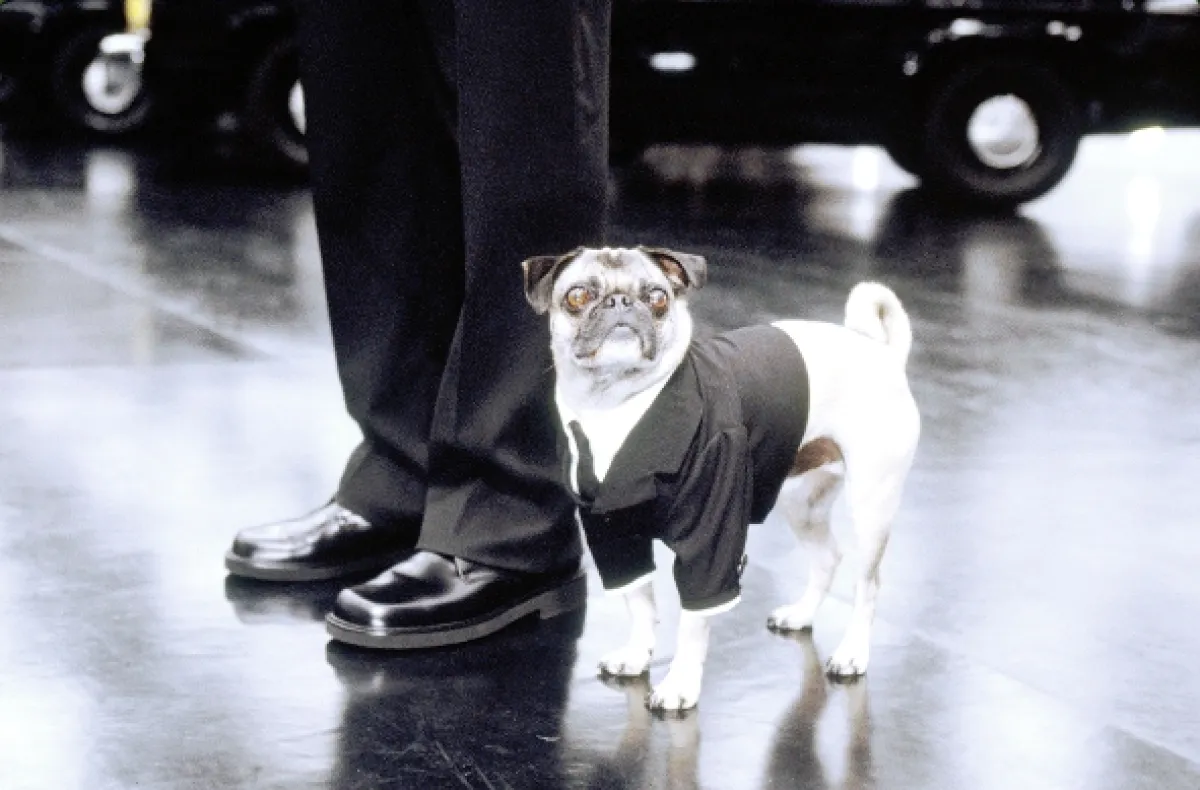 Muži v čiernom 2 (Men in Black II), 2002 - fotogaléria