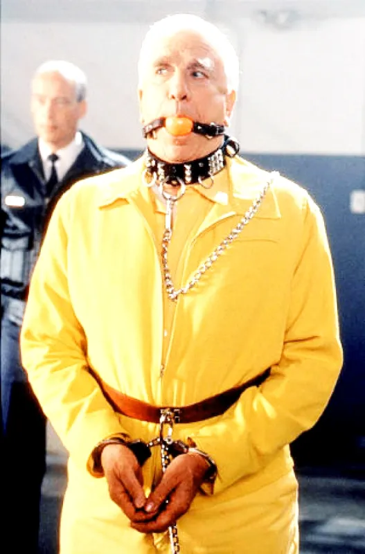 Utopenec na úteku (Wrongfully Accused), 1998 - fotogaléria
