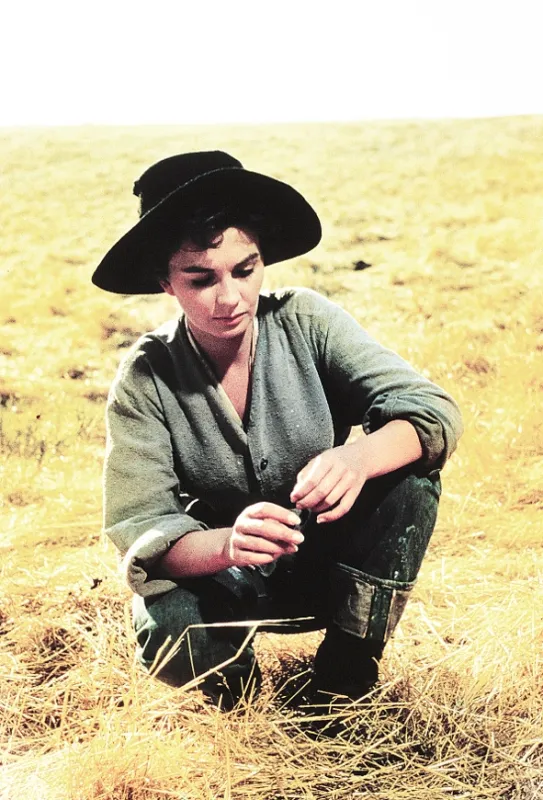 Veľká zem (The Big Country), 1958 - fotogaléria