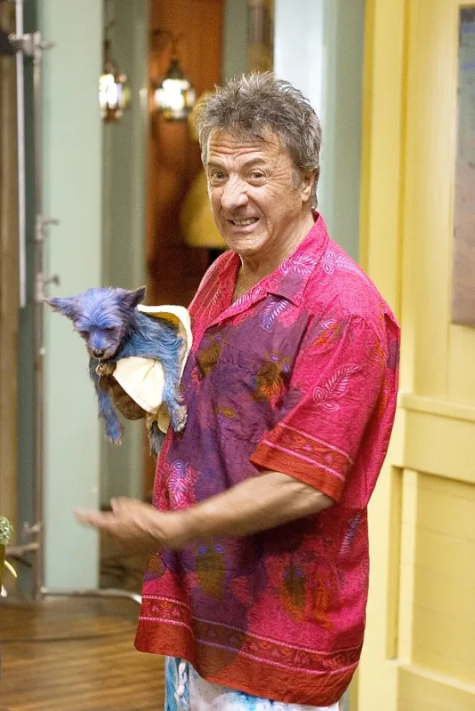 Jeho fotr, to je lotr! (Meet the Fockers), 2004 - fotogaléria