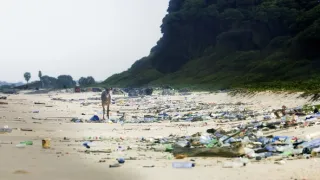 Gabon: Surfující hroši