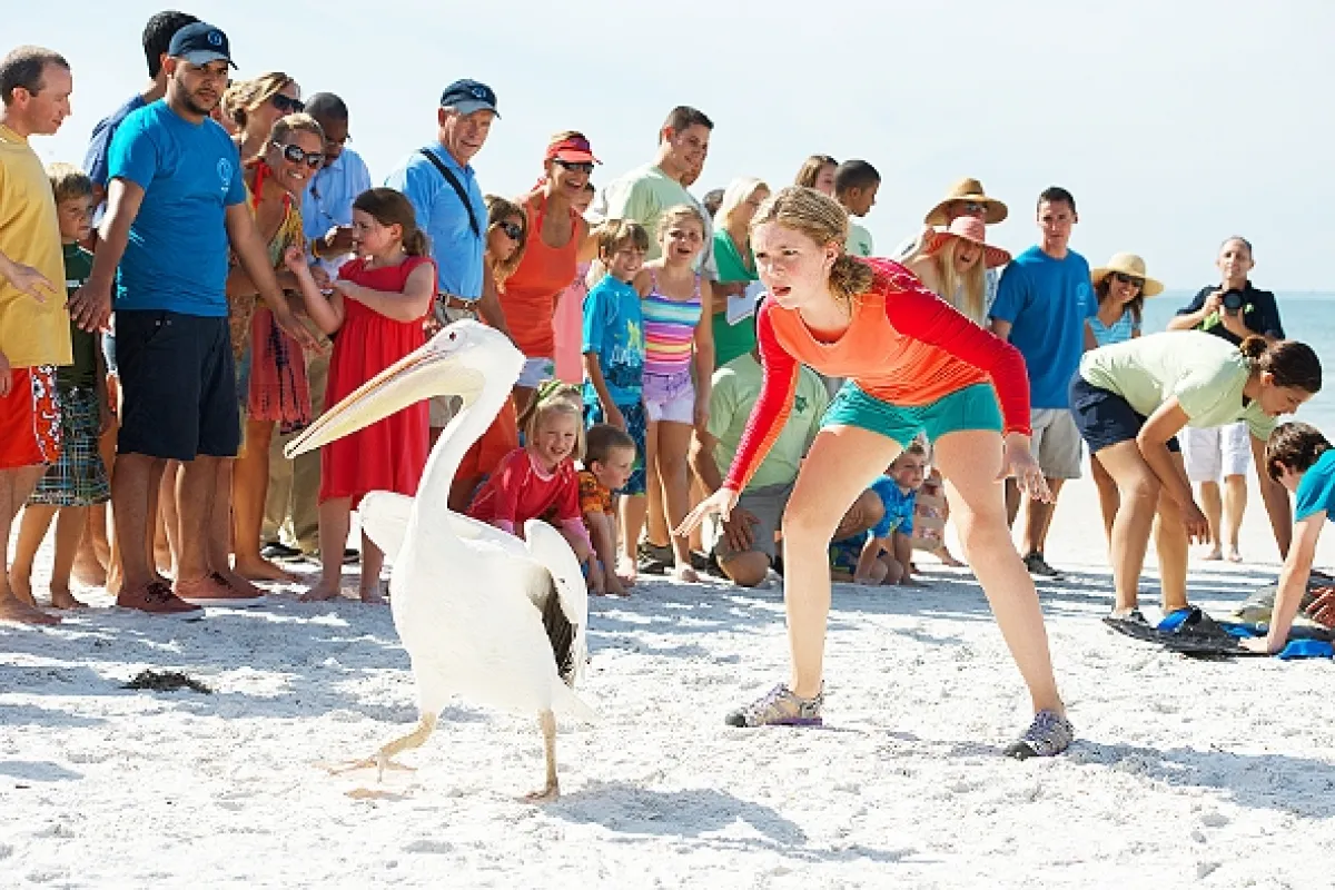 Můj přítel delfín 2 (Dolphin Tale 2), 2014 - fotogaléria