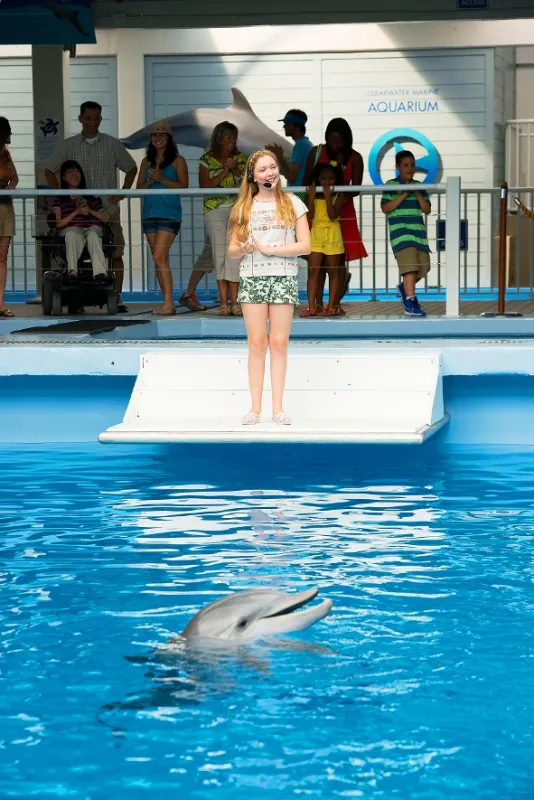 Můj přítel delfín 2 (Dolphin Tale 2), 2014 - fotogaléria