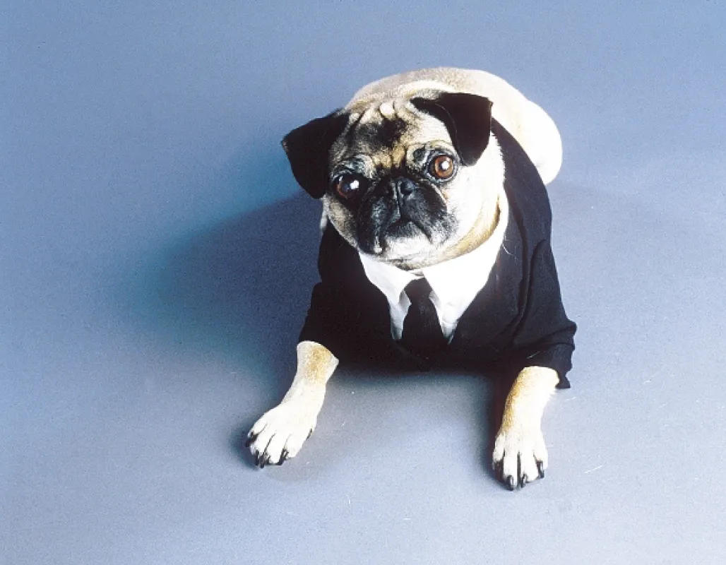 Muži v černém 2 (Men in Black II), 2002 - fotogaléria
