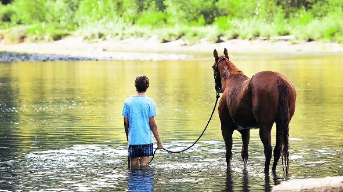 Spoľahni sa na Petea (Lean on Pete), 2017 - fotogaléria