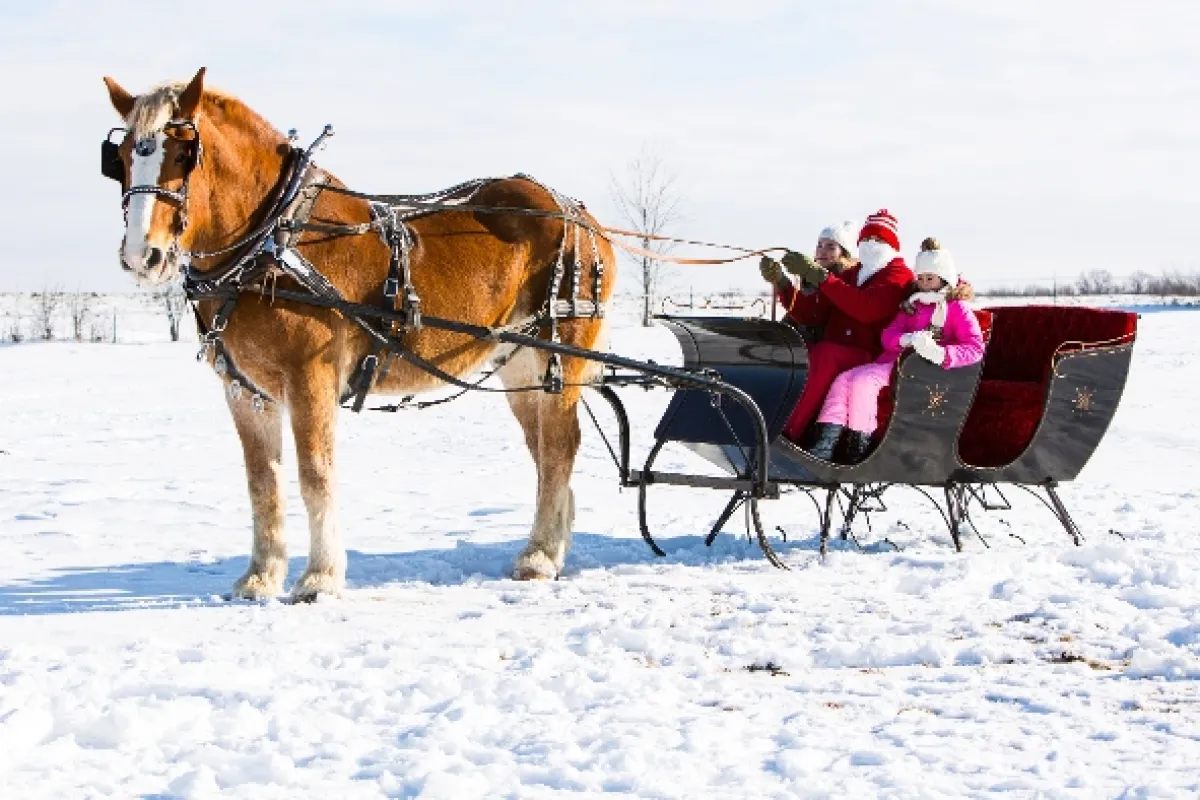 Vánoční pošta (Love Always, Santa), 2016 - fotogaléria