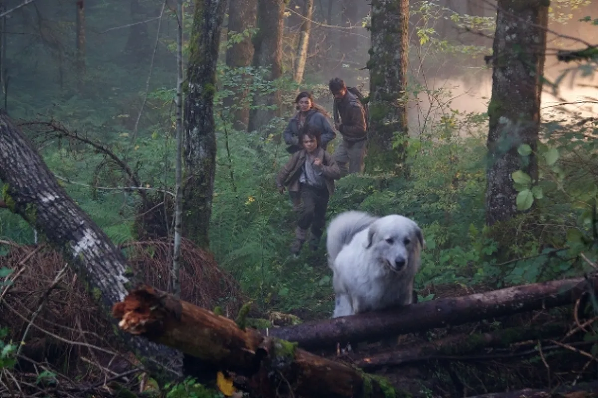 Bella a Sebastian: Dobrodružství pokračuje (BELLE & SEBASTIAN: THE ADVENTURE CONTINUES), 2015 - fotogaléria