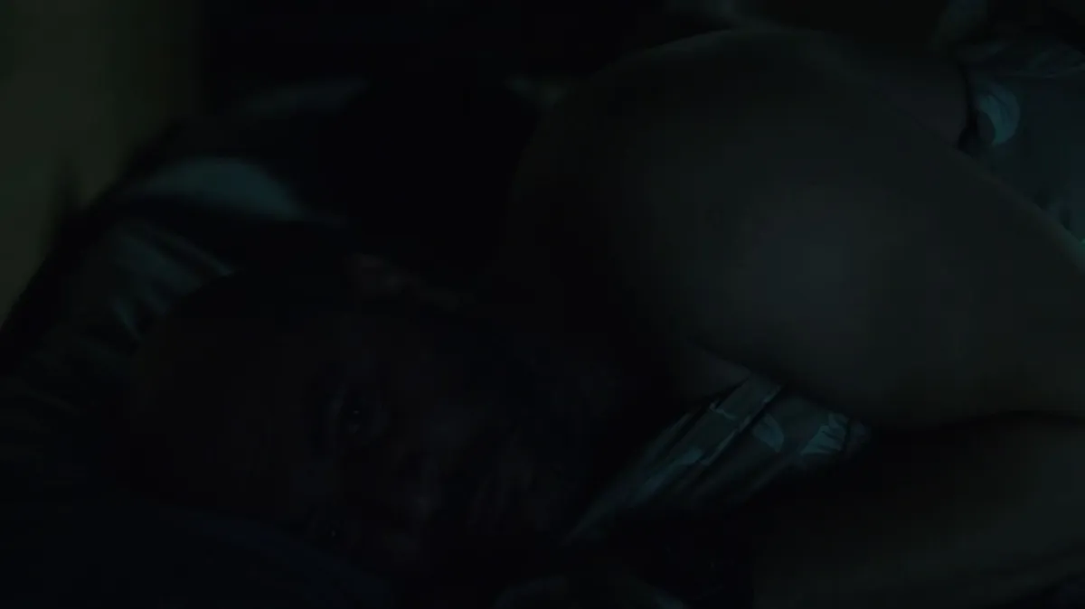 Fauda, 2015 - fotogaléria