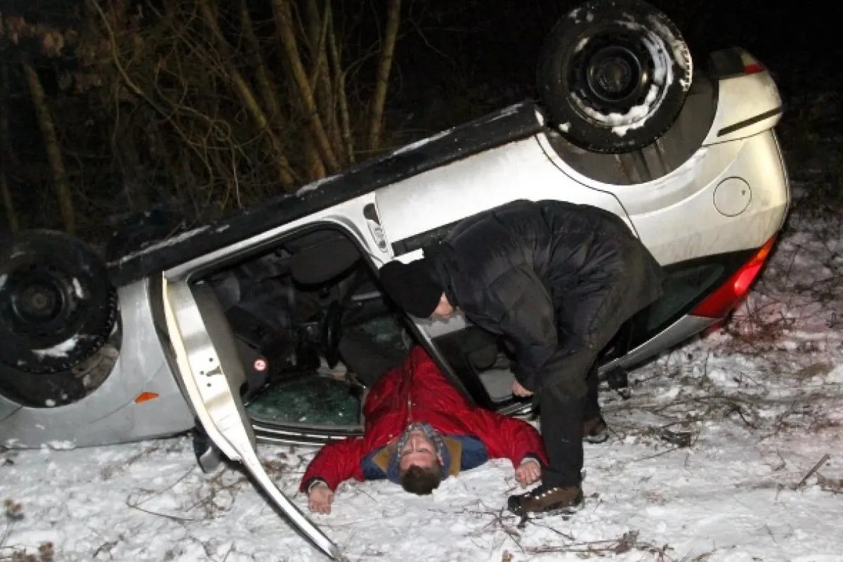Cesty domů, 2010 - fotogaléria