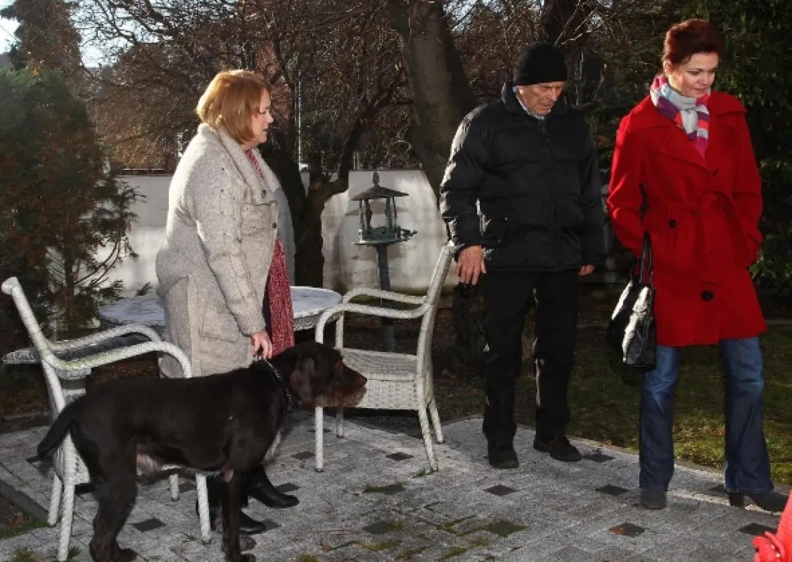 Cesty domů, 2010 - fotogaléria