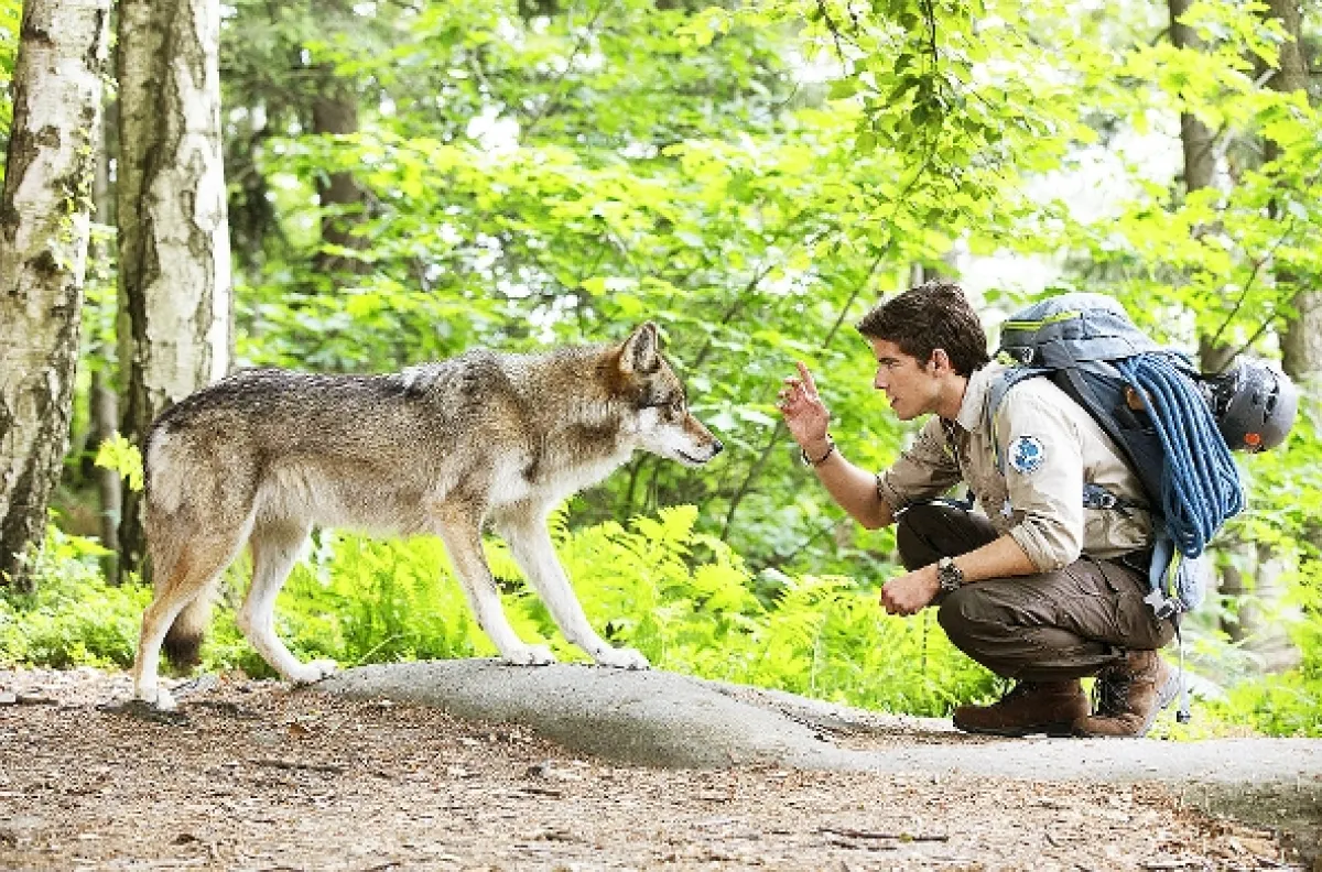 Ranger, 2021 - fotogaléria