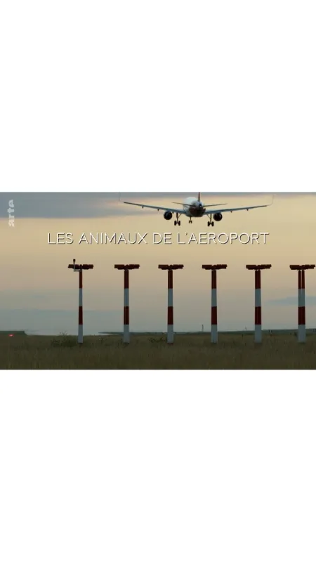 Zvířata na letišti (Les animaux de l’aeroport), 2022 - fotogaléria