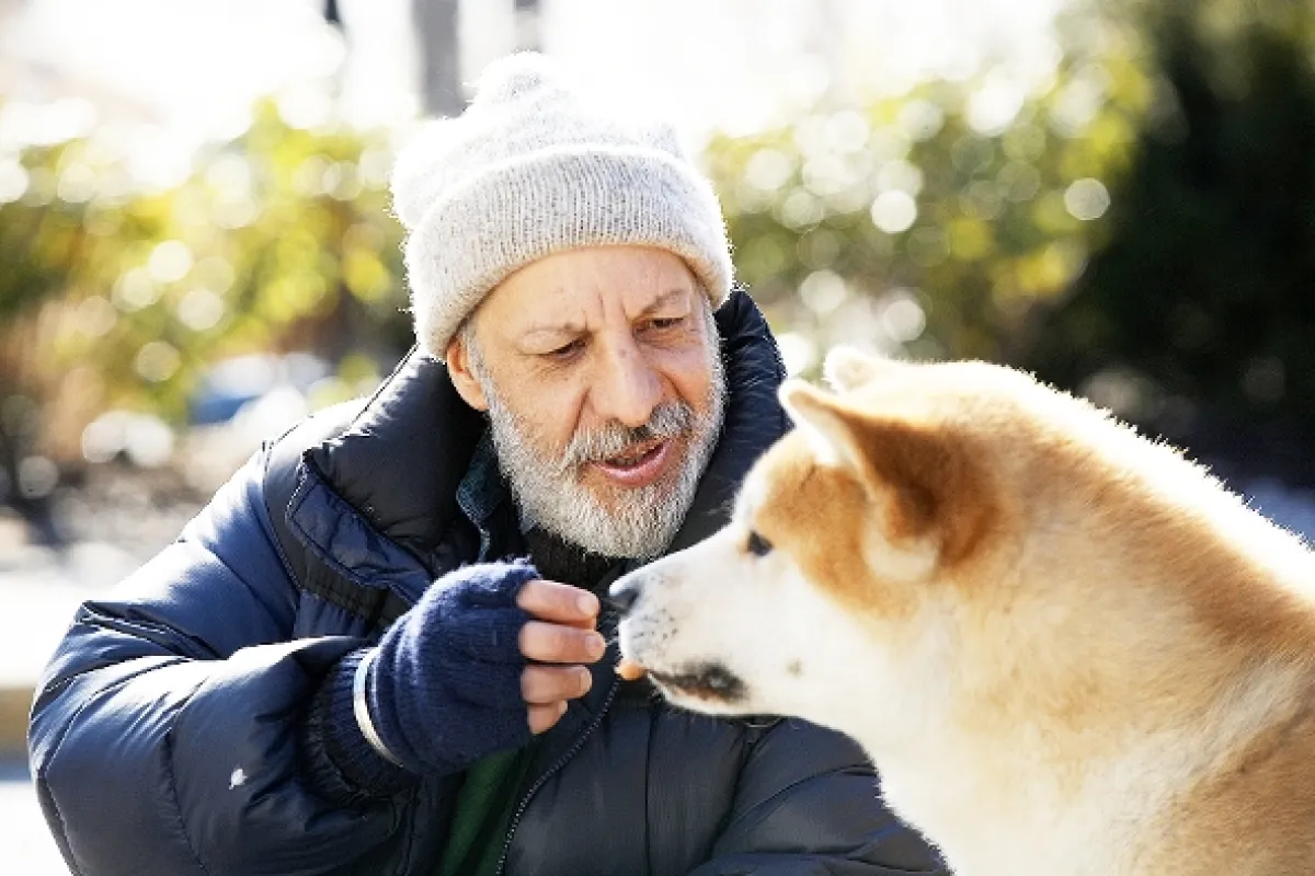 Hačikó: Príbeh psa (Hachiko: A Dog’s Story/Hachi: A Dog’s Tale), 2009 - fotogaléria